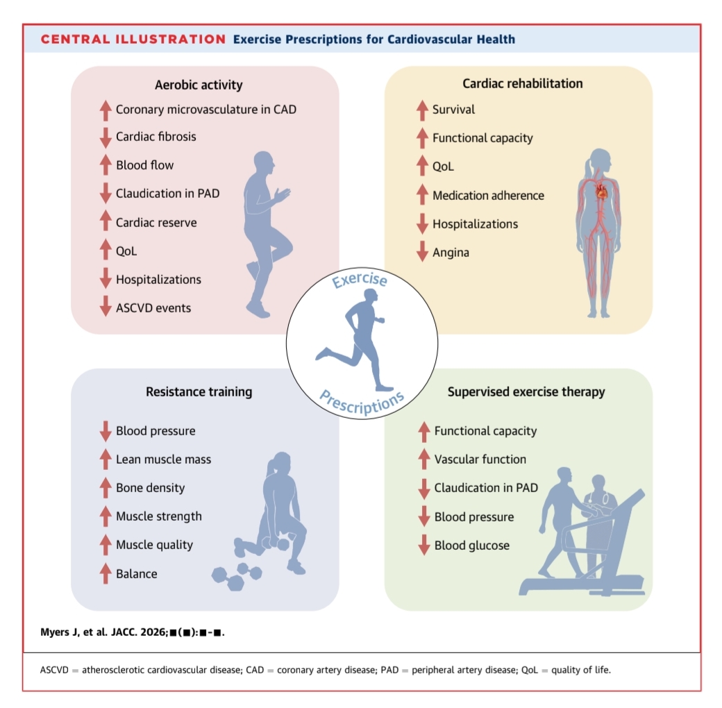Exercise Prescriptions for Cardiovascular Health in Adults: 2026 ACC Scientific Statement Myers et al. | Journal of the American College of Cardiology (JACC) | Article in Press Overview The 2026 ACC Scientific Statement emphasizes that exercise sh